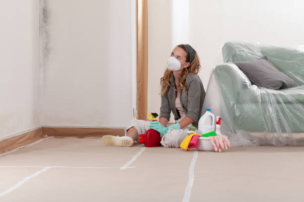 Reliable Commercial Mold Remediation contractor in Lake Hiawatha, NJ by WQB Mold Removal